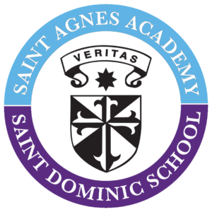 SAASDSLogo with purple and blue SAASDSLogo with purple and blue